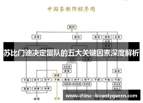 苏比门迪决定留队的五大关键因素深度解析